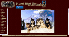 Desktop Screenshot of blackblossom.se
